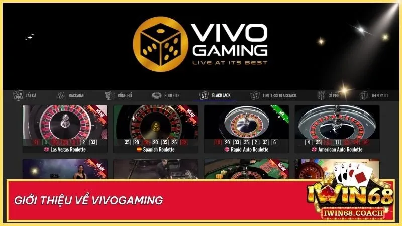 VivoGaming – Hành trình hơn một thập kỷ tạo dựng đẳng cấp live casino toàn cầu