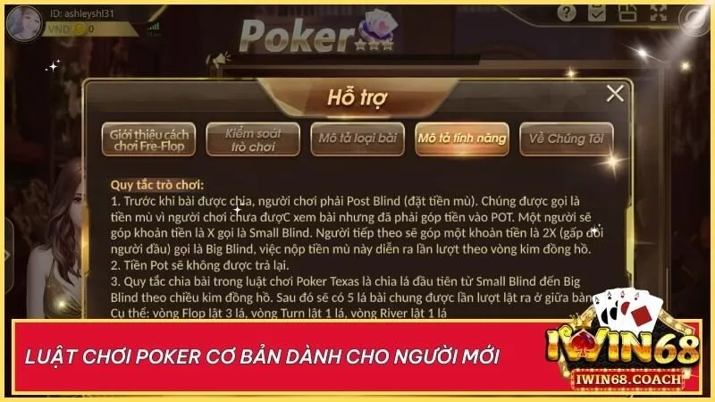 Nắm vững từng vòng cược và hành động để tự tin nhập cuộc